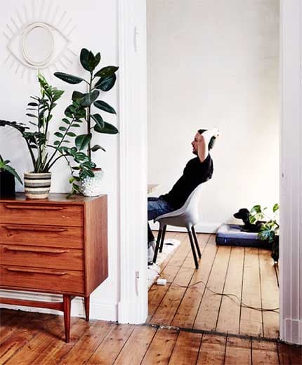 ZAMIOCULCAS potted plants make minimalist living cosy