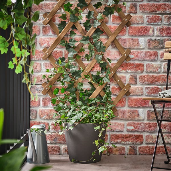 ASKHOLMEN wooden trellis against brick wall with potted plant, smaller metallic watering can, on small patio.