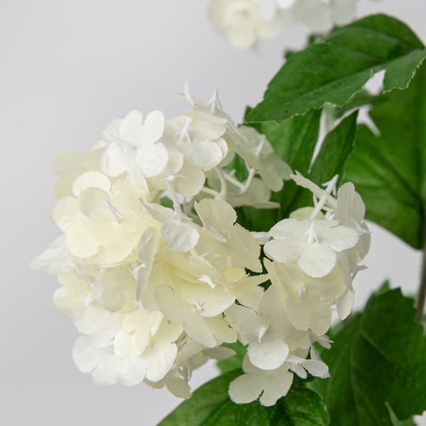 Small cluster of white artificial flowers with green leaves. Flowers appear fresh and well-made.