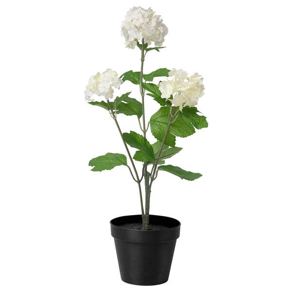 FEJKA potted plant, white flowers, green leaves, black pot, indoor/outdoor use.