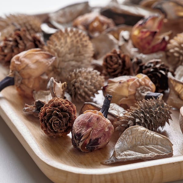 Wooden tray filled with dried natural items like pinecones and seed pods, arranged neatly.