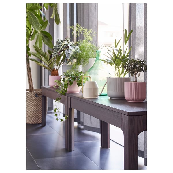 GRADVIS آنية نباتات, زهري, 12 سم