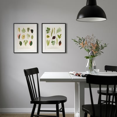 KNOPPÄNG إطار مع صورة, مجموعة أوراق, 40x50 سم