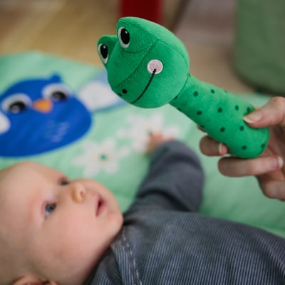 SANDBI خشخيشة, ضفدعة./أخضر