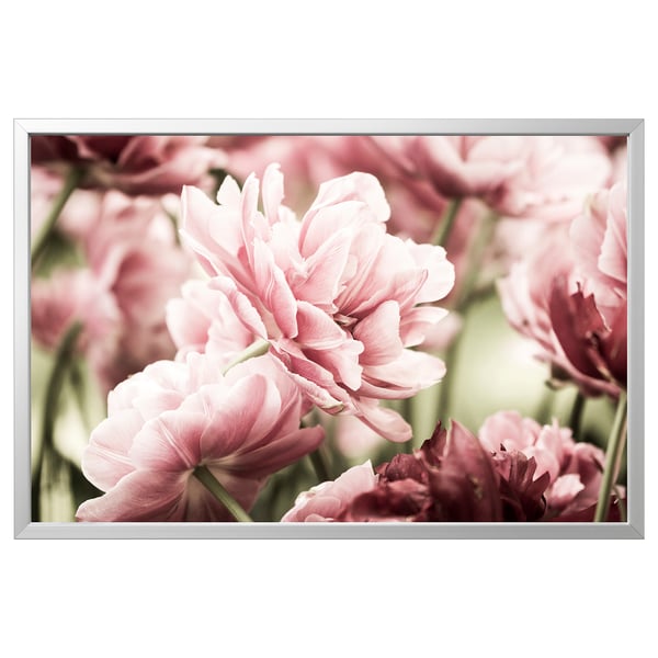 Framed canvas print of light pink tulips. Minimalist design, silver frame. Perfect for modern decor.