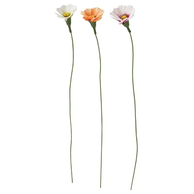 GULDSPETT Artificial flower, paper/cosmos assorted colours, 35 cm