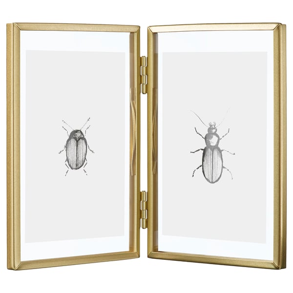 Gold-framed double-sided glass display with black beetle illustrations on each side.