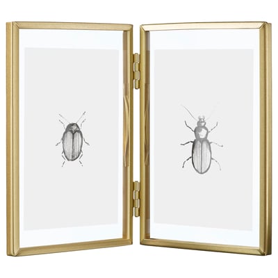 Gold-framed double-sided glass display with black beetle illustrations on each side.