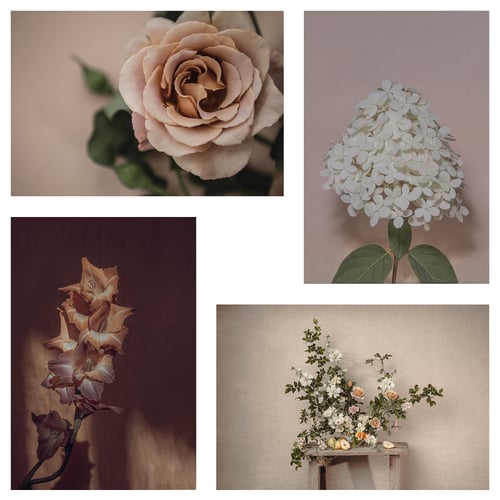 Four flower images: beige rose, white hydrangea, dried orange blooms, floral table arrangement. Neutral colours, paper.