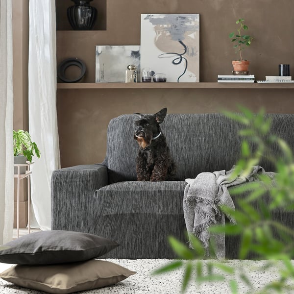 A cosy living room a black and brown dog sitting on a grey AGERÖD slipcovered sofa against a taupe wall with art and plants.