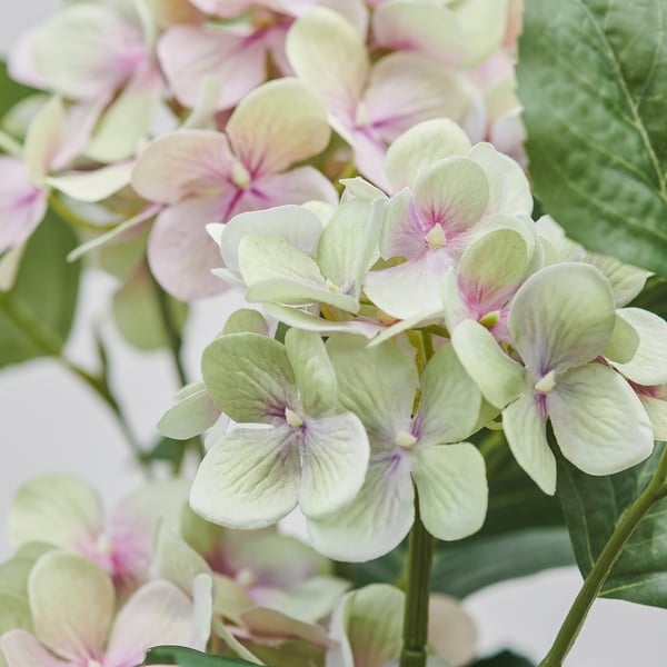 FEJKA Artificial potted plant, in/outdoor/hydrangea white, 12 cm