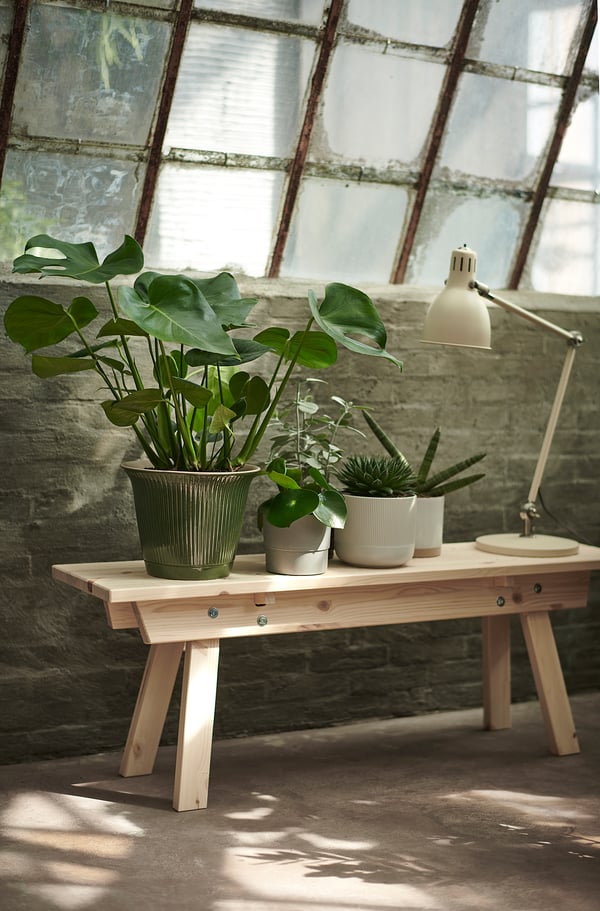 Wooden table holds three green and white GRADVIS pots with plants near large window.