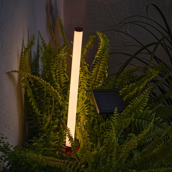Vertical, illuminated white modern lamp powered by solar panel, lit amidst lush green ferns.