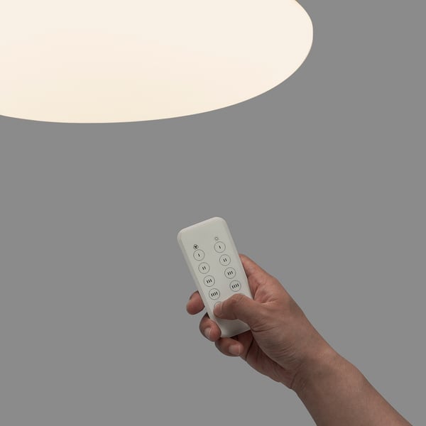 ESKADER エスカデル LEDシーリングランプ リモコン付き