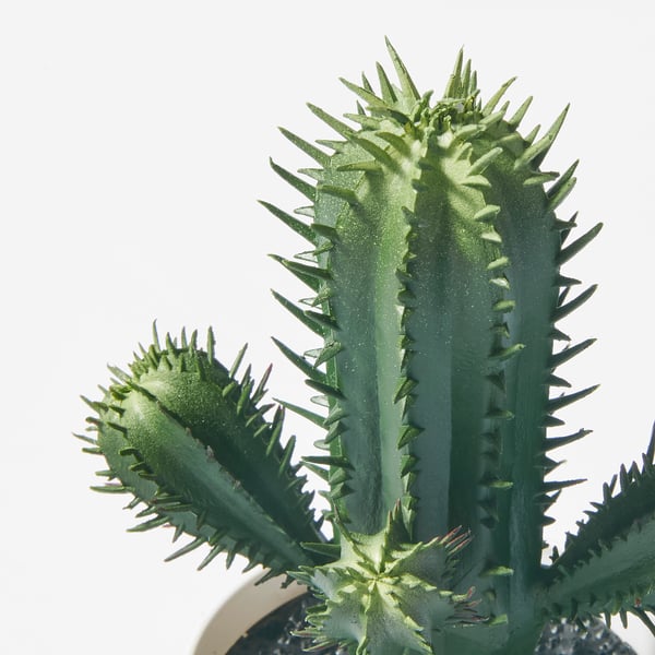 FEJKA フェイカ 人工観葉植物, 室内/屋外用 サボテン, 6 cm