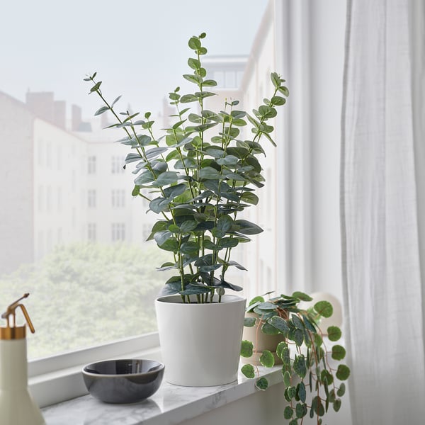 FEJKA フェイカ 人工観葉植物, 室内/屋外用 ユーカリ, 15 cm