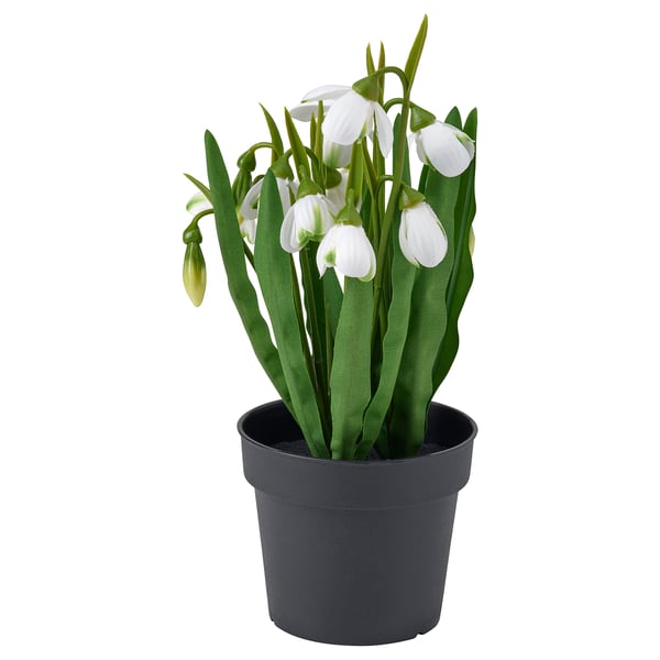 FEJKA フェイカ 人工観葉植物, 室内/屋外用/スノードロップ ホワイト, 9 cm