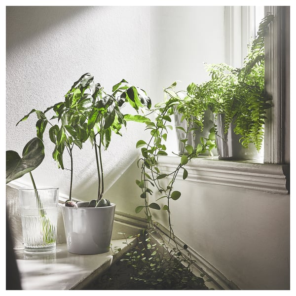 SMÄLLSPIREA スメルスピレア 花瓶, クリアガラス/模様入り, 17 cm