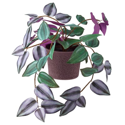 SMÅTÄRNA スモテルナ 人工観葉植物, 紙/ムラサキツユクサ, 10 cm