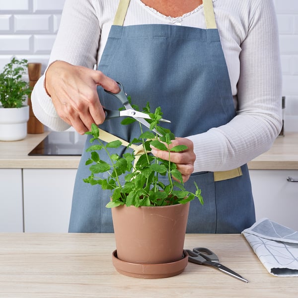 SVÄRDFISK スヴェルドフィスク はさみ2本セット, ステンレススチール グレー/グレーターコイズ