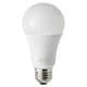 LED 電球
