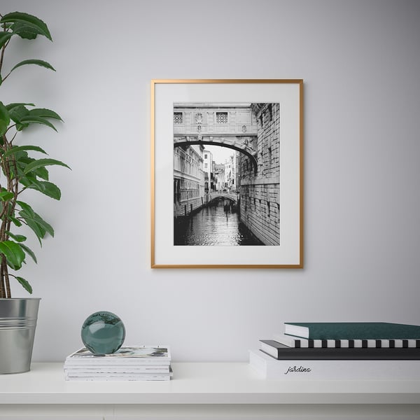 A framed black-and-white venetian canal bridge hangs on a wall above a shelf holding books, a green sphere, a plant, and a magazine.