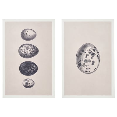 BJÖRNAMO 비에르나모 아트프린트+할로우드, 달걀, 20x30 cm