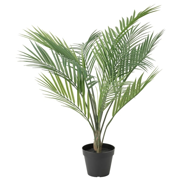 FEJKA 페이카 인조식물, 실내외겸용 아레카 야자, 12 cm