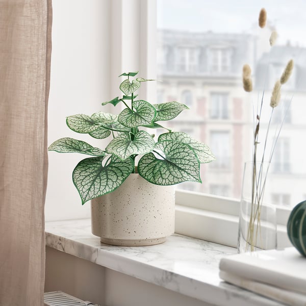 SMÅTÄRNA 스모테르나 인조식물, 종이/브루네라, 12 cm