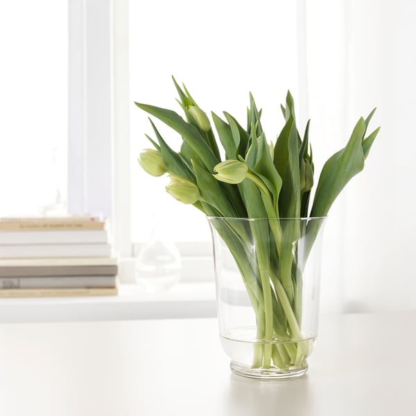 POMP مزهرية/مصباح, زجاج شفاف, 18 سم
