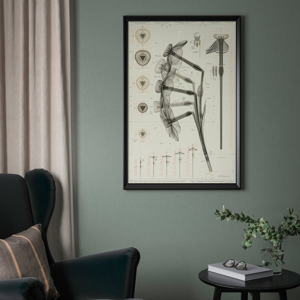 Living room with large framed BILD chair art print on teal wall, surrounded by dark furniture and a green plant.