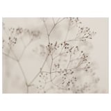 BJÖRKSTA sepia-toned floral branches, allergic botanical print, delicate neutral hues, soft focus detail.