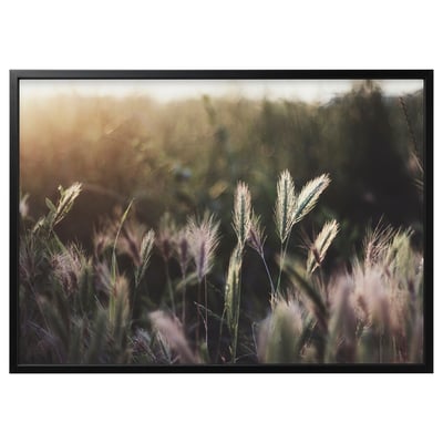 BJÖRKSTA art print in black frame, natural scene, feathery plants, serene sunset.