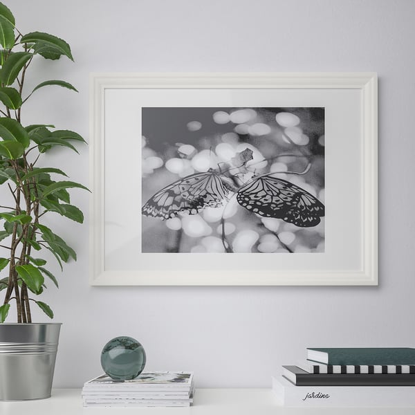 Black & white butterfly art, magazines, plant.
