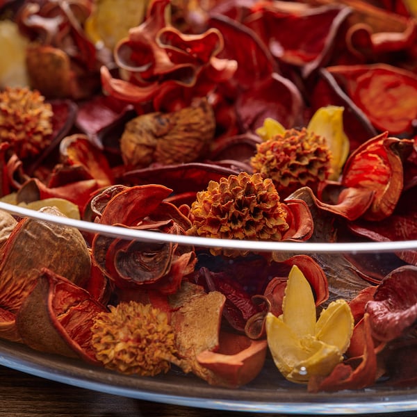 Coloured dried flowers in bowl.