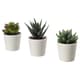 Artificial desk & office plants