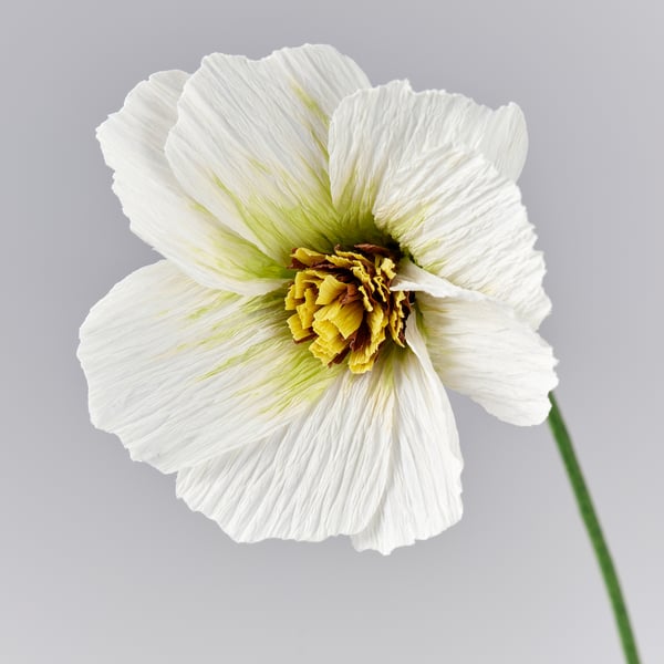 GULDSPETT Artificial flower, paper/cosmos assorted colours, 35 cm