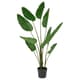 Artificial desk & office plants