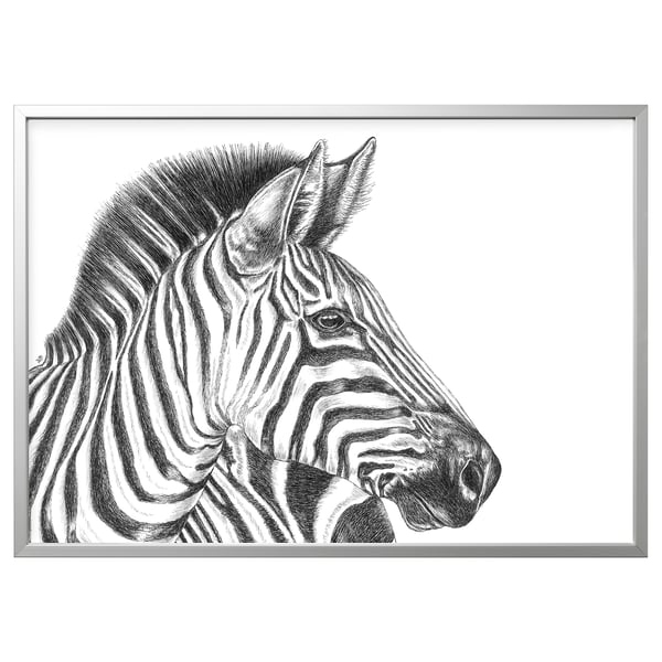 BJÖRKSTA صورة مع برواز, رسم حمار وحشي/لون الومونيوم, 140x100 سم