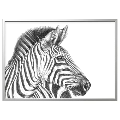 BJÖRKSTA صورة مع برواز, رسم حمار وحشي/لون الومونيوم, 140x100 سم