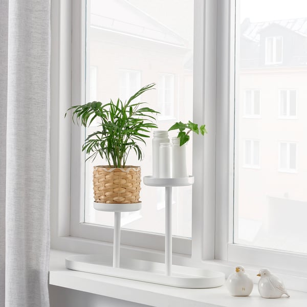 CHILISTRÅN طاولة نباتات, أبيض, 24 سم