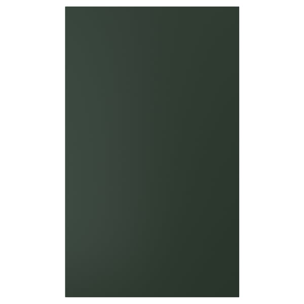 HAVSTORP باب, أخضر زيتوني, 60x100 سم