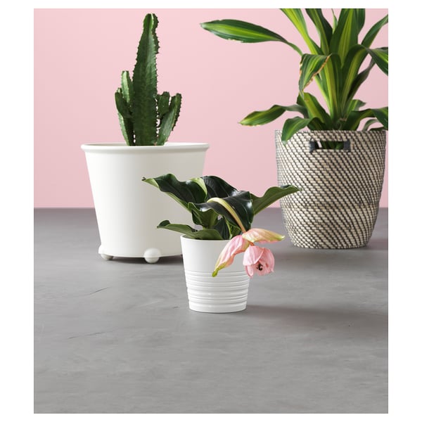 IKEA PS FEJÖ آنية نباتات ذاتية السقي, أبيض, 32 سم