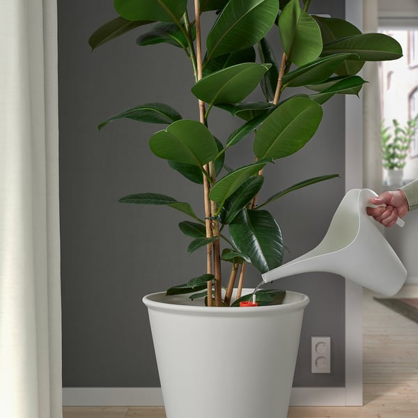 IKEA PS FEJÖ آنية نباتات ذاتية السقي, أبيض, 32 سم