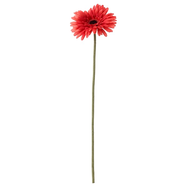 SMYCKA زهرة إصطناعية, Gerbera/أحمر, 50 سم