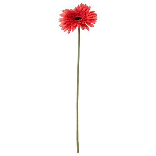 SMYCKA زهرة إصطناعية, Gerbera/أحمر, 50 سم