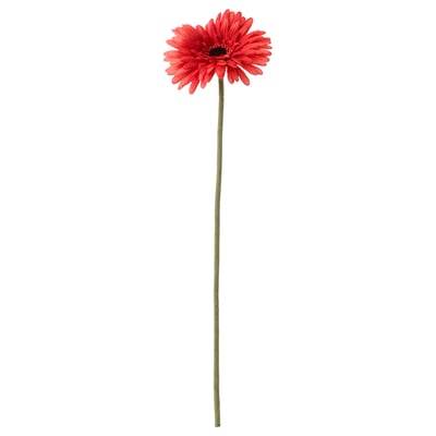 SMYCKA زهرة إصطناعية, Gerbera/أحمر, 50 سم