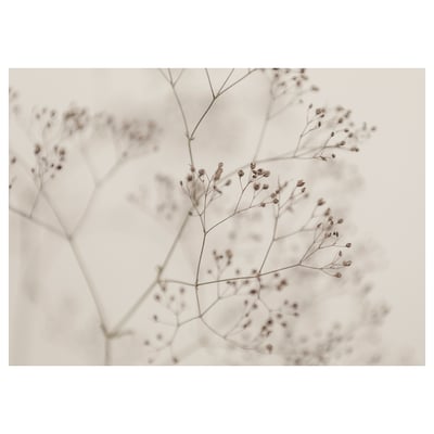 BJÖRKSTA sepia-toned floral branches, allergic botanical print, delicate neutral hues, soft focus detail.