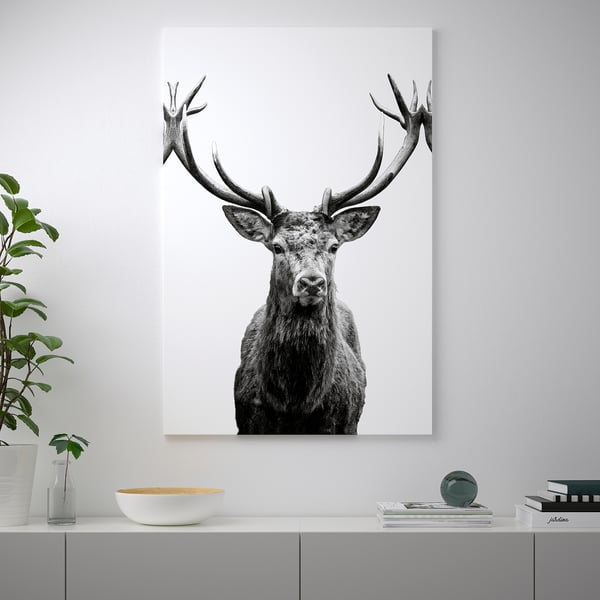 Black and white wall art of a deer with large antlers hangs on a white wall. Below it, a low shelf holds a plant, bowl, and books.