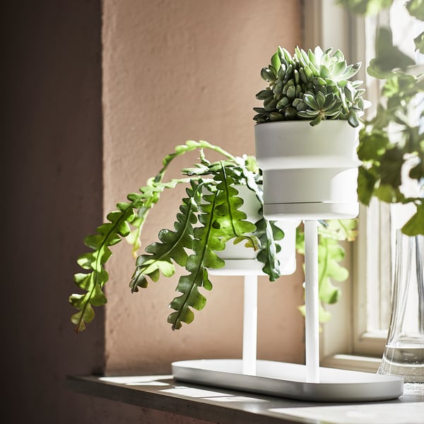 The white CHILISTRÅN plant stand, showcasing multiple levels with green plants, enhancing room decor.